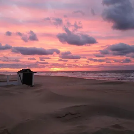 La Digue 302 Located Directly On The * Koksijde