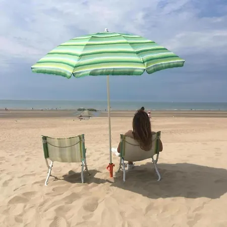 Apartment La Digue 302 Located Directly On The Koksijde